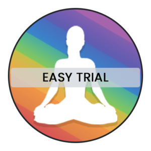 wtguru-easy-traffic-trial